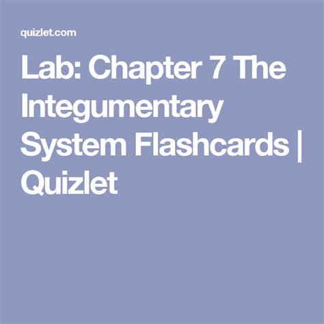 chap 7 labs Flashcards 